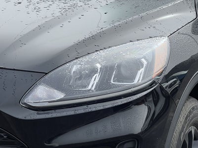 2020 Ford Escape Hybrid SE Sport Hybrid