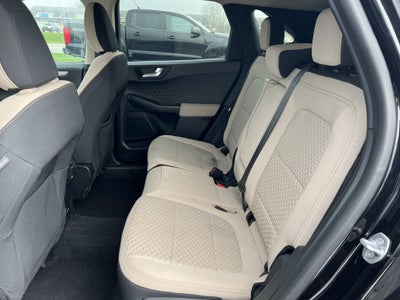 2020 Ford Escape Hybrid SE Sport Hybrid
