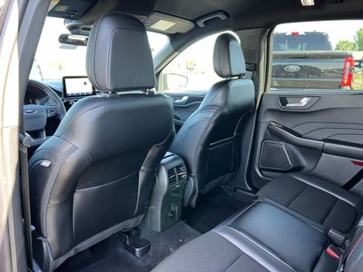 2025 Ford Escape ST-Line Select
